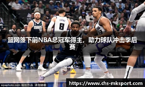 篮网签下前NBA总冠军得主，助力球队冲击季后赛