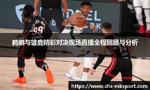 鹈鹕与雄鹿精彩对决现场直播全程回顾与分析
